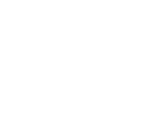 Segreto_logo